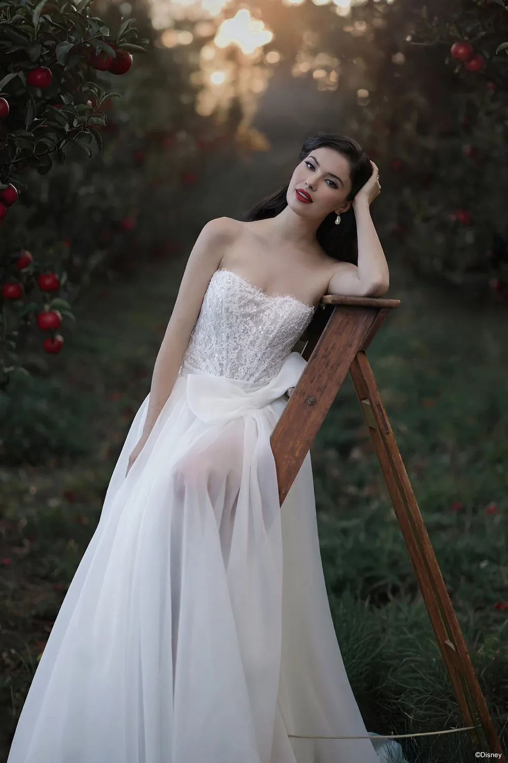 Allure Bridal Disney D477T Snow White brudekjole ivory overskirt