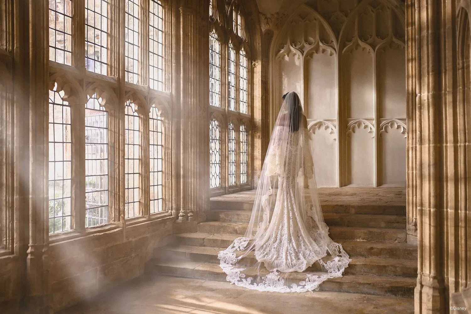 Allure Bridal Disney Jasmine DV54 brudslør ivory katedral blonde