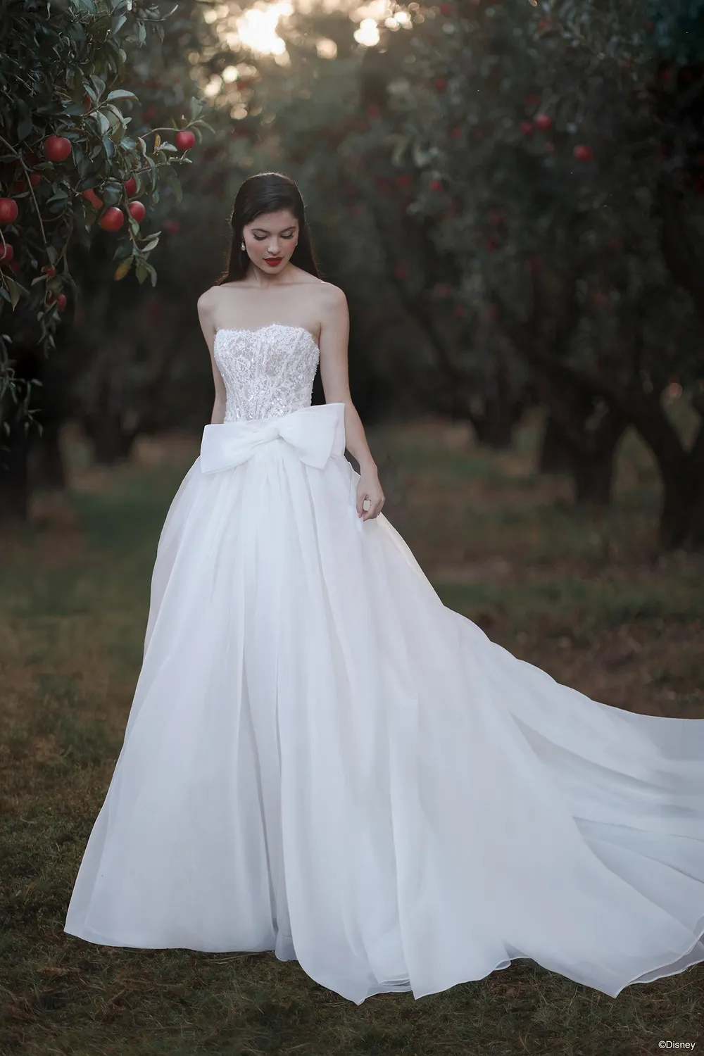 Allure Bridal Disney D477T Snow White brudekjole ivory overskirt