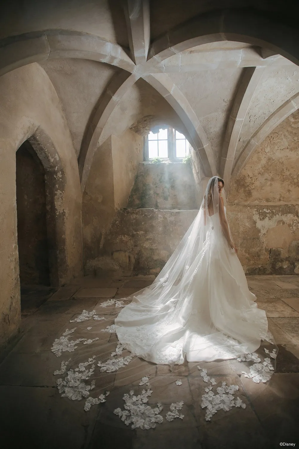 Allure Bridal DV51 Aurora brudeslør ivory med 3D blomster