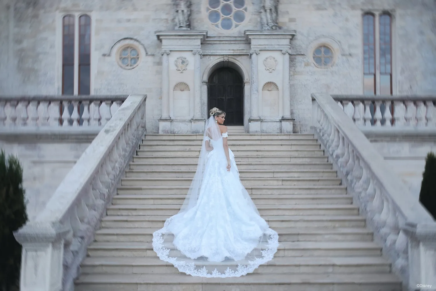 Allure Bridal Disney Askepot DV53 brudslør ivory blondekant