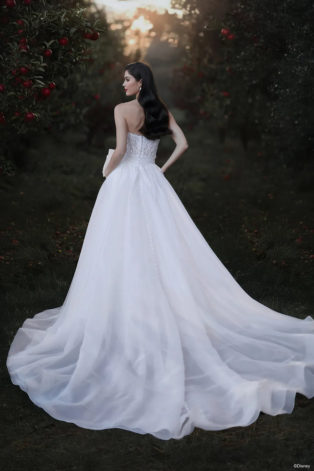 Allure Bridal Disney D477T Snow White brudekjole ivory overskirt